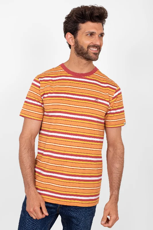 Blouses & Shirts for mascot-Rust Striped Tshirt