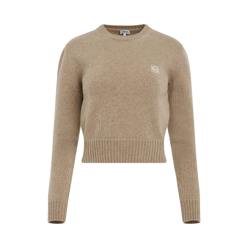 Anagram Cropped Wool Sweater in Camel